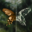 Vindicate Discord server icon