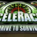 Drive To Survive!