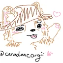 corgi's server