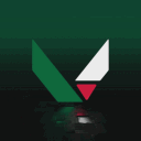 VALORANT DZ Discord Server Icon – Valorant