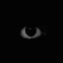 DARK CHAMBER