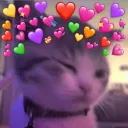 Gloom Kitten Kingdom