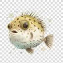 AbusedPufferfish's server
