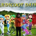 The Bandicoot Dairy