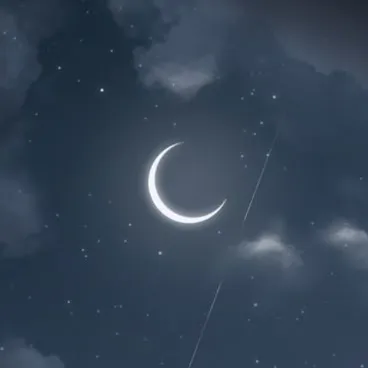 MoonLight — мониторинг Discord сервера, статистика и рейтинг