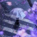 @swukio icon
