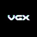 VGX Foundation