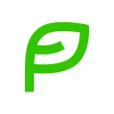 Pitch for the Future