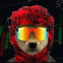 Big Motion Crypto