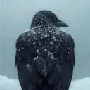 Corvus's Nest