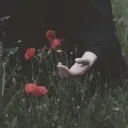 rnedjed rambles