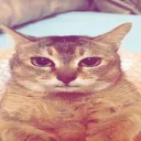 bwuhmangaming