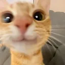 ·:*¨༺ ♱𝐁𝐥𝐮𝐞'𝐬 𝐂𝐒 𝐭𝐨𝐮𝐫𝐧𝐞𝐲♱ ༻¨*:·