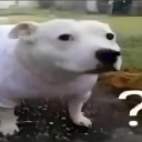 huh Discord server icon
