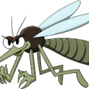 Mosquito