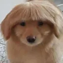 KWAn't Play