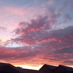 🍻CWTP🍺 — мониторинг Discord сервера, статистика и рейтинг