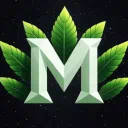 𝗠𝗢𝗥𝗚𝗖𝗢𝗥𝗗 [18+]