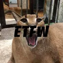 ETFW(offline server)