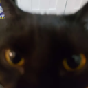 Grown ups Discord server icon