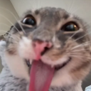 Mike's Dusty Crusty Dungeon Discord server icon