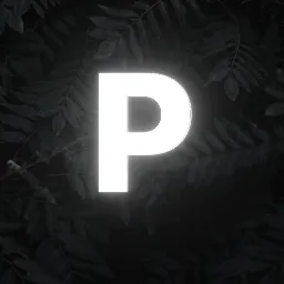 Paradise — мониторинг Discord сервера, статистика и рейтинг