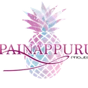 Painappuru Project