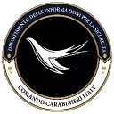 DIS • Dipartimento delle Informazioni per la Sicurezza