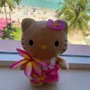 𐔌ﹺ꣑ৎﹺsillykitty 🐾