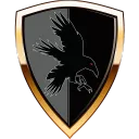 Raven Shield Security