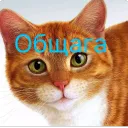 Общага