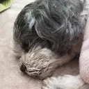 あのサーバー