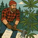 The Lumberyard™ discord icon