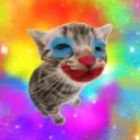 Clown Fur