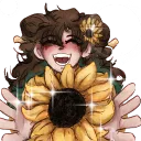 🌻Peel's Sunflower Field🌻