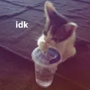 idk!! | froovo