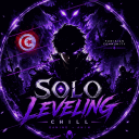 Solo Leveling TM | Social • Anim • Chill • Gaming Discord Server Icon