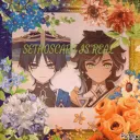 Sethoscara real