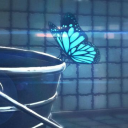 ┊   🦋 ꩜     ⸝⸝  rewind