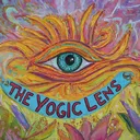 theyogiclens.org
