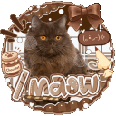 🎃𓏲     ﹒    mαow—ween   𓏻