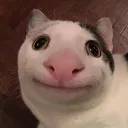 Germany Kings Discord server icon