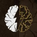Brainstorm 🧠⚡ icon