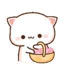 Blossom’s Lost & Found