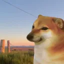 🐶Wychillowane Pieseły🐶