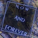 Now and Forever LARP