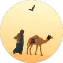 Mohd Ark Works