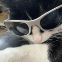 shawtys Discord server icon