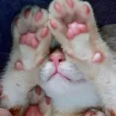 /ᐠ˵- ⩊ -˵マ banner