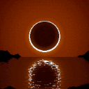 The Dark Forest Discord server icon